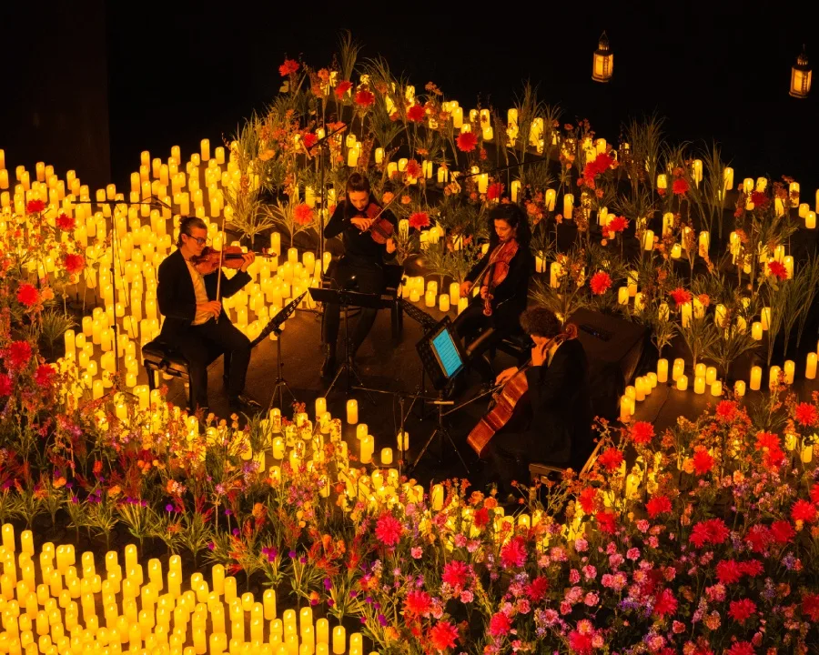 An indoor floral experience