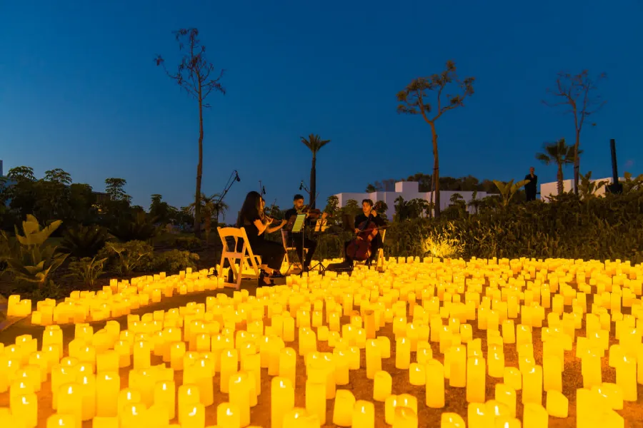 Gallery Candlelight
