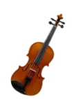 Violin